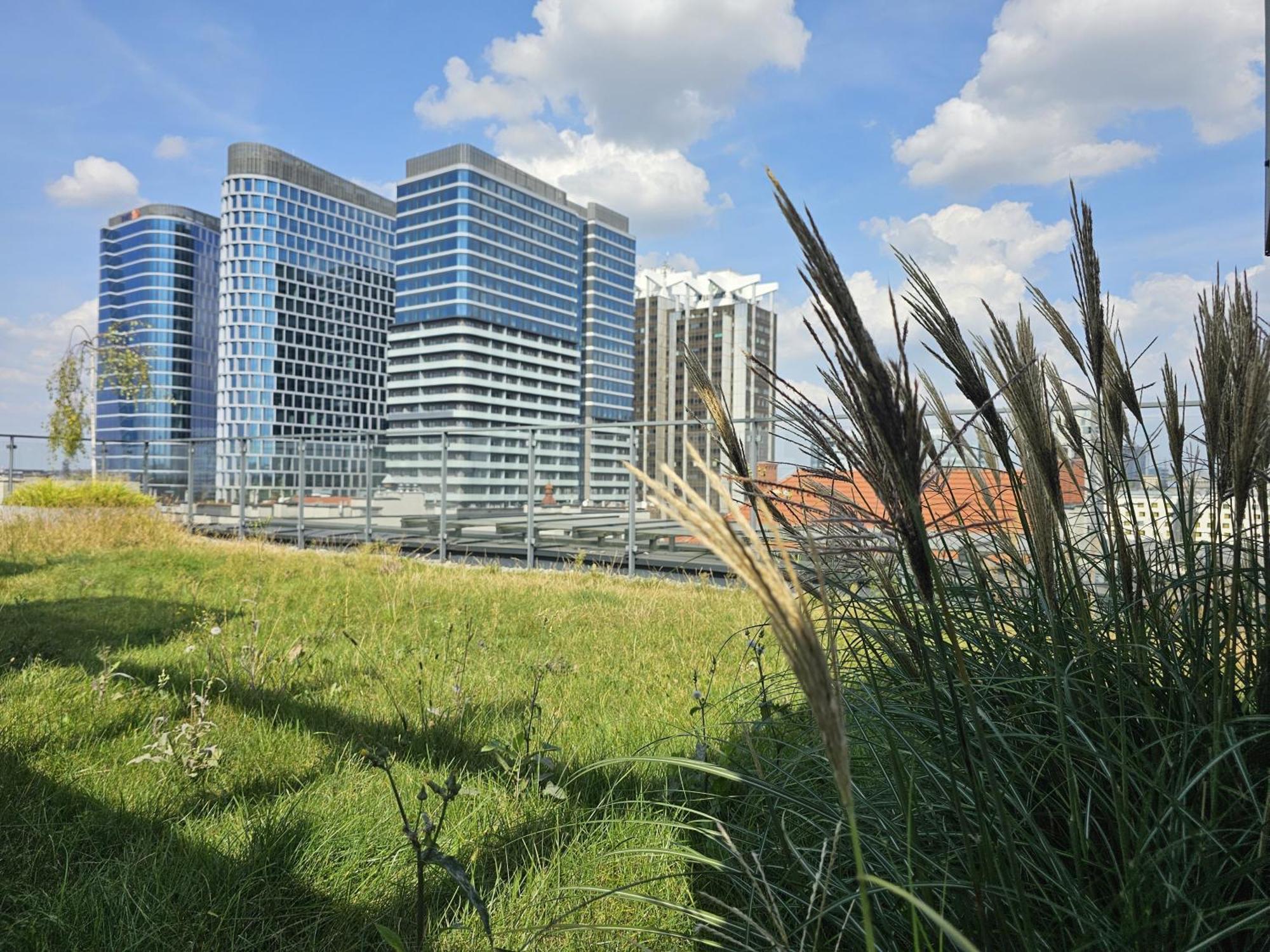 Urban Apartments Premium, Opolska 10 No 67B, Free Garage, Self Check-In คาโตวีตเซ ภายนอก รูปภาพ